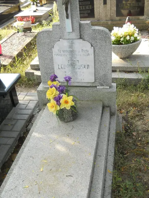 Zdjęcie grobu 14/27094