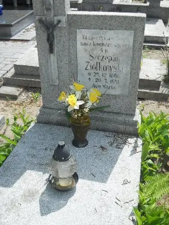 Zdjęcie grobu 25/3
