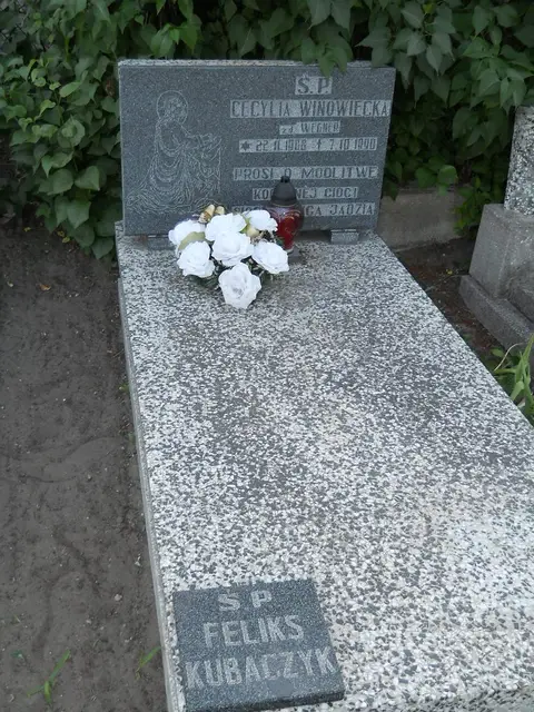 Zdjęcie grobu 13/12219