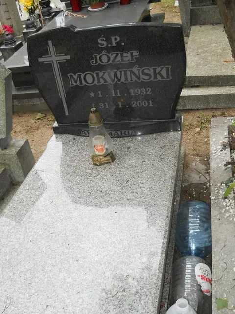 Zdjęcie grobu 12/29501