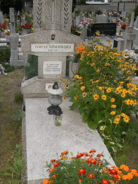 Zdjęcie grobu 21/29101