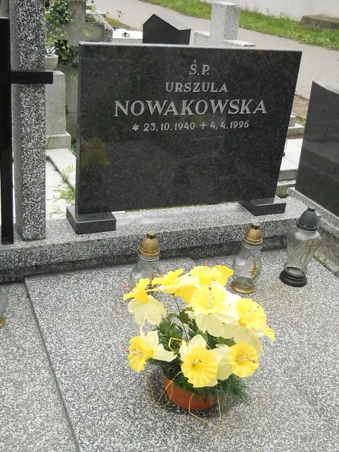 Zdjęcie grobu 22/8336/96