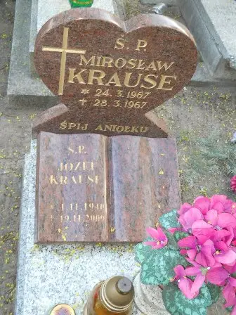 Zdjęcie grobu 7b/100