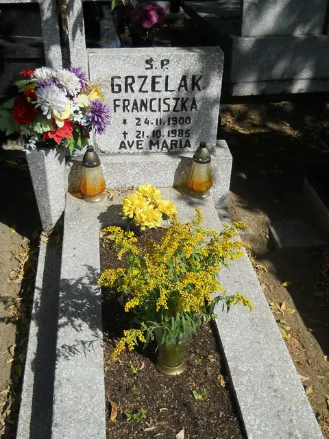 Zdjęcie grobu 18/28202