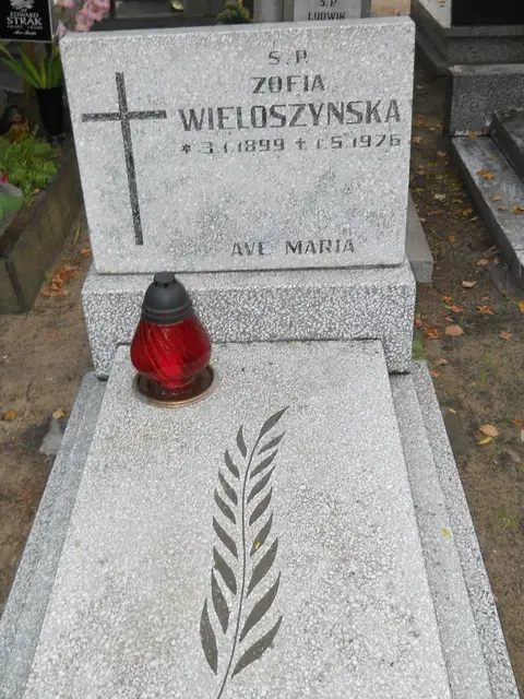 Zdjęcie grobu 14/26923
