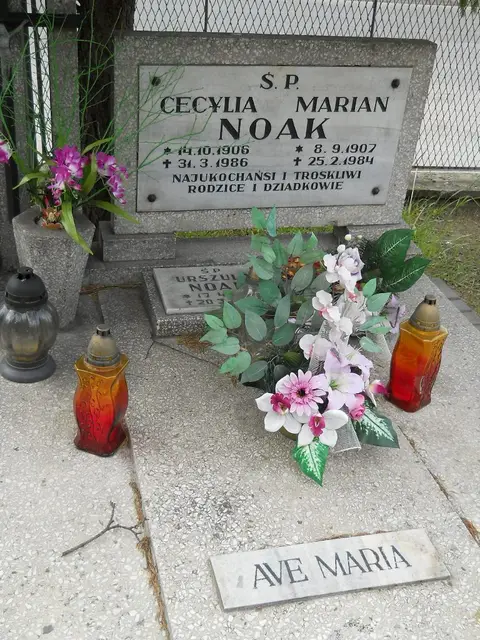 Zdjęcie grobu 7/11711