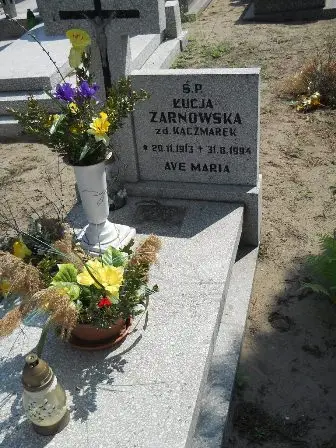 Zdjęcie grobu 42/29