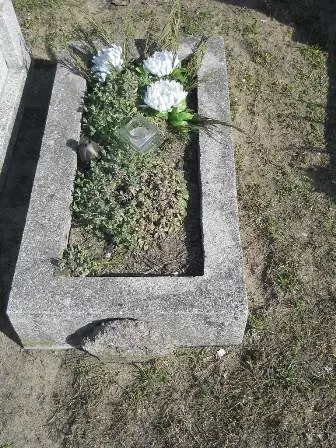 Zdjęcie grobu Dz/68