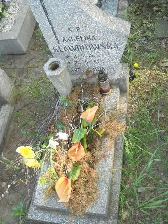 Zdjęcie grobu 7b/333