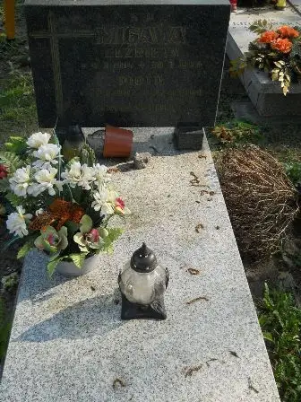Zdjęcie grobu 9a/148
