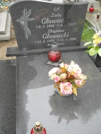 Zdjęcie grobu 36/217