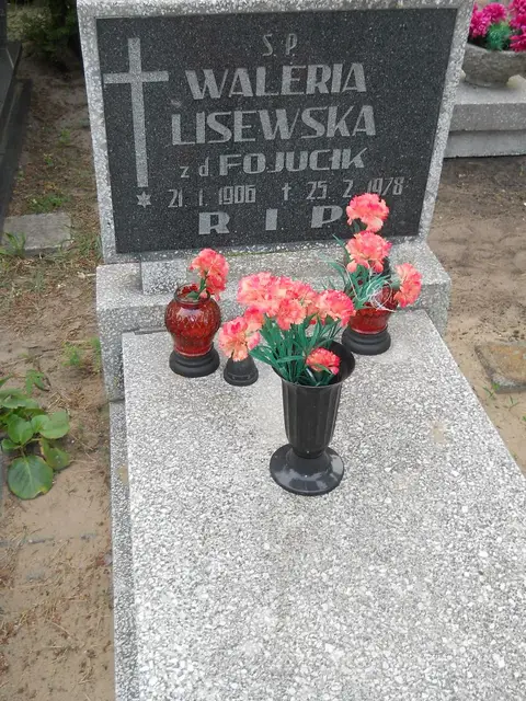 Zdjęcie grobu 7/11157