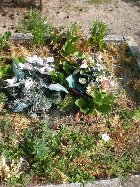 Zdjęcie grobu 8B/20143