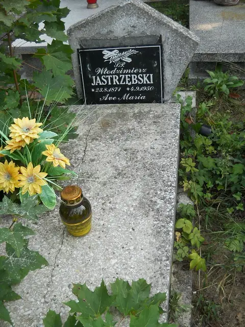 Zdjęcie grobu 14/27727