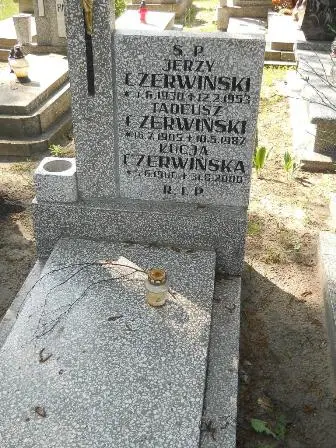 Zdjęcie grobu 20/318