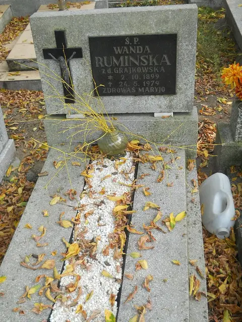 Zdjęcie grobu 15/26701
