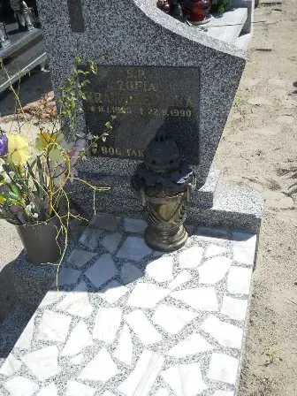 Zdjęcie grobu 46/100