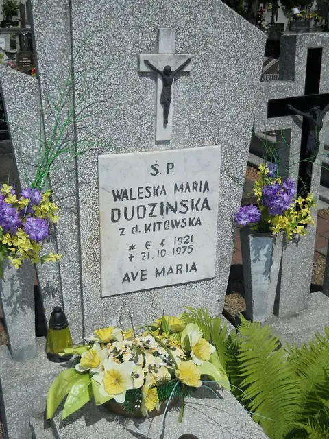 Zdjęcie grobu 8A/10171
