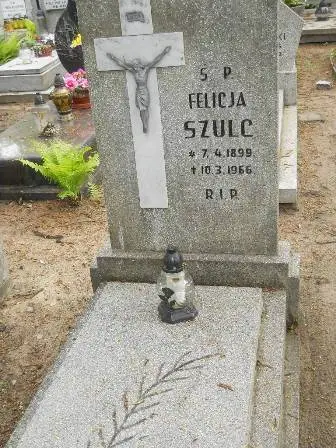 Zdjęcie grobu 33/149