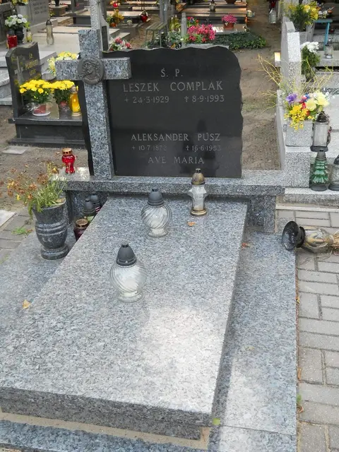 Zdjęcie grobu 13/29001