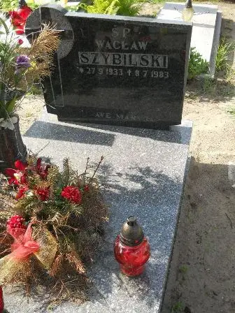 Zdjęcie grobu 20/164