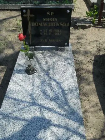 Zdjęcie grobu 11/100