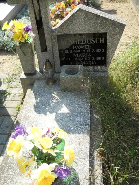 Zdjęcie grobu 14/6585/90