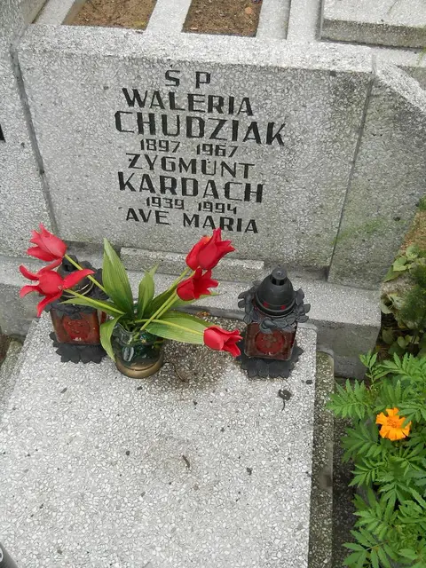 Zdjęcie grobu 22/23613
