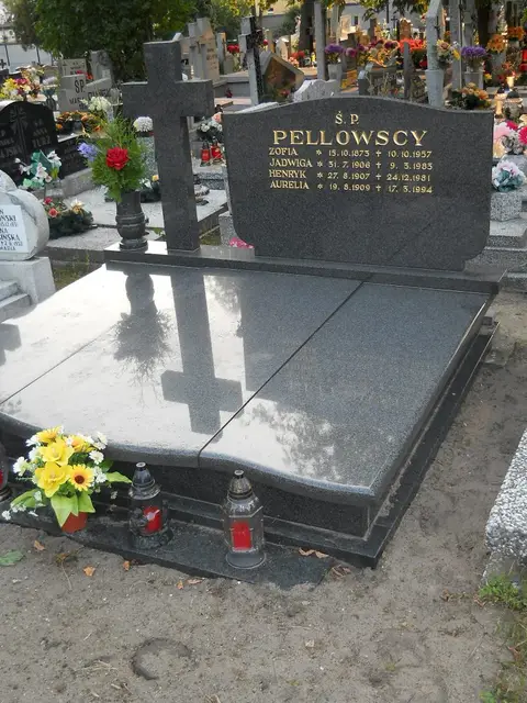 Zdjęcie grobu 13/29024
