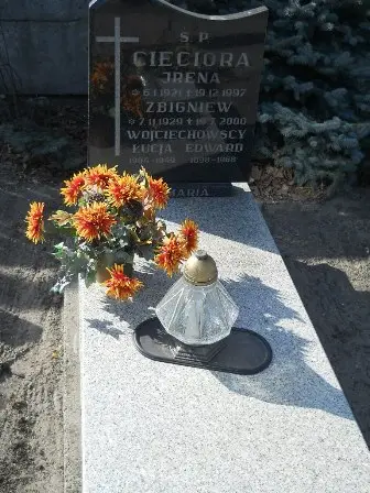 Zdjęcie grobu 100/100