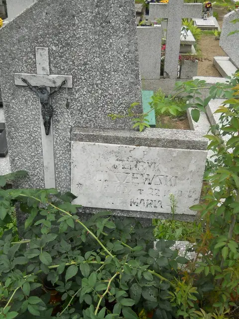 Zdjęcie grobu 22/23507