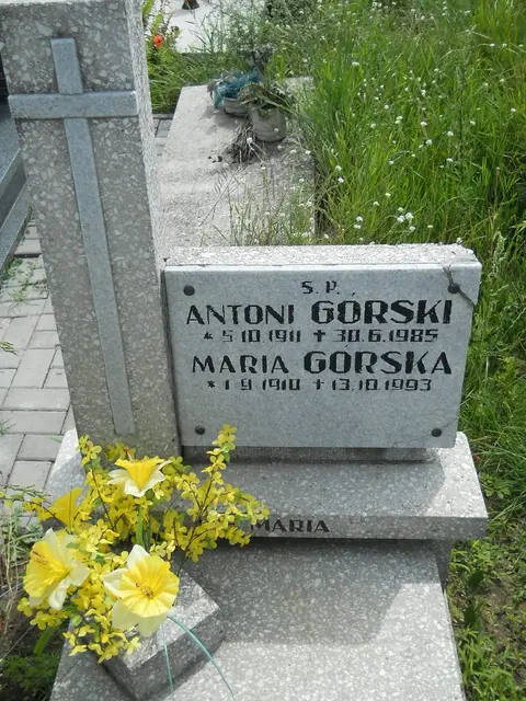 Zdjęcie grobu 26/22808
