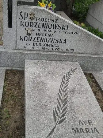 Zdjęcie grobu 42/167,168