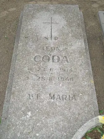 Zdjęcie grobu 22/160