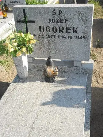 Zdjęcie grobu 45/229