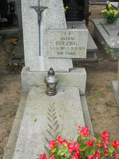 Zdjęcie grobu 12/29549