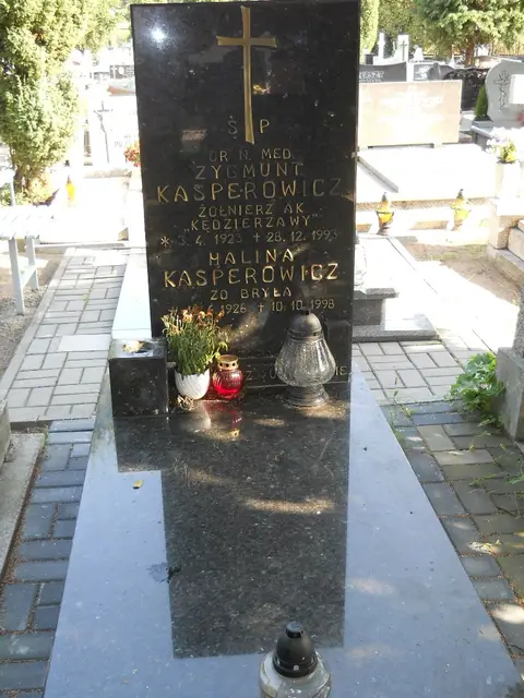 Zdjęcie grobu A/24987