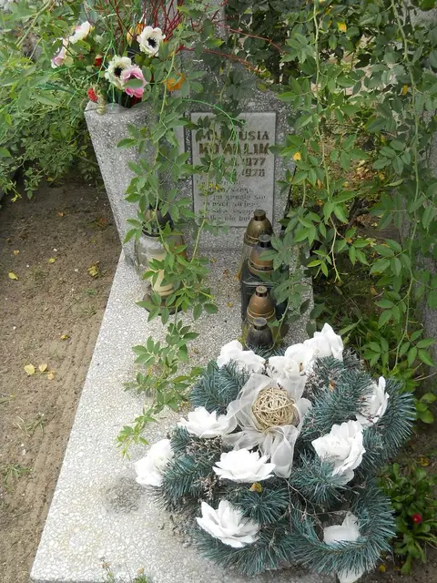 Zdjęcie grobu 9/24541
