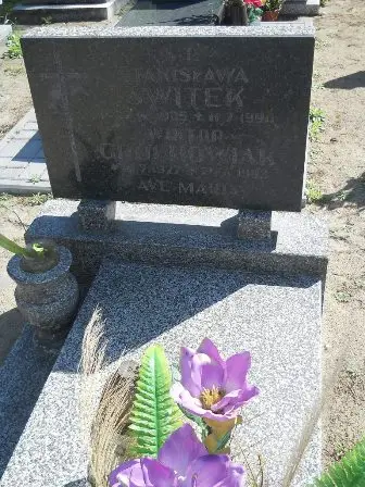 Zdjęcie grobu 46/154