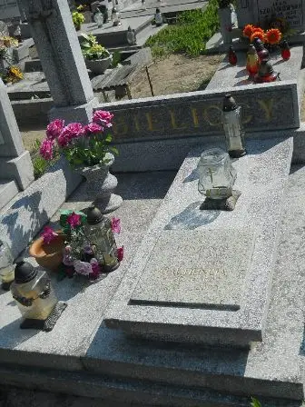 Zdjęcie grobu 29/183