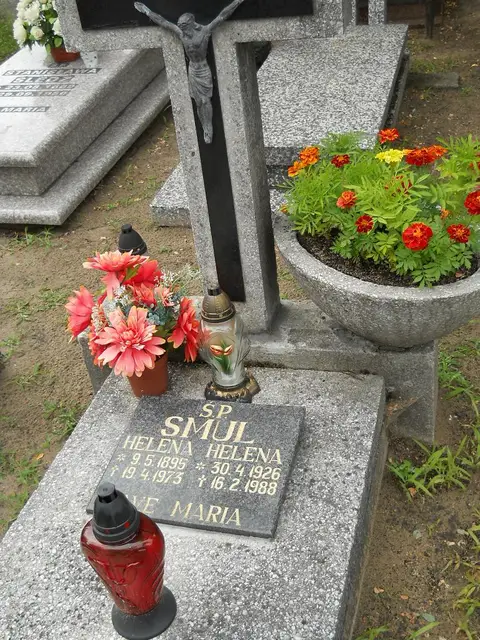 Zdjęcie grobu 5/22642