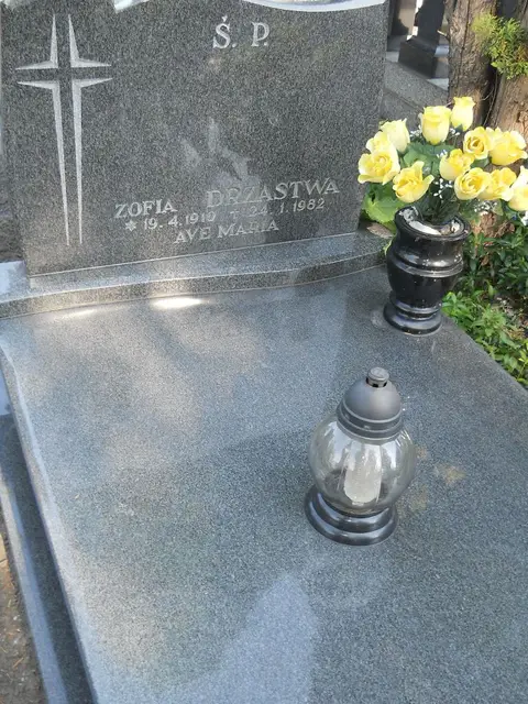 Zdjęcie grobu 7/12010