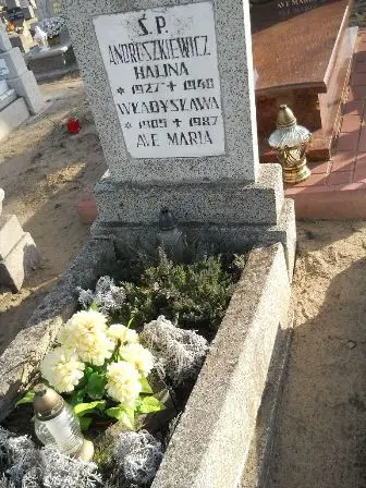 Zdjęcie grobu 100/100