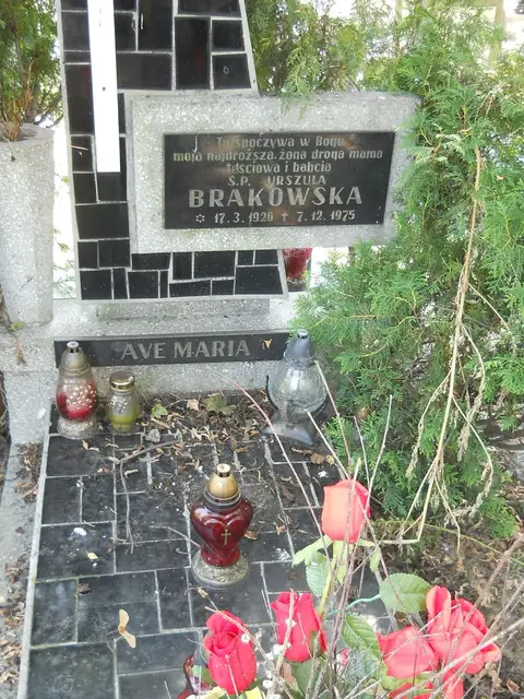 Zdjęcie grobu 18/28427