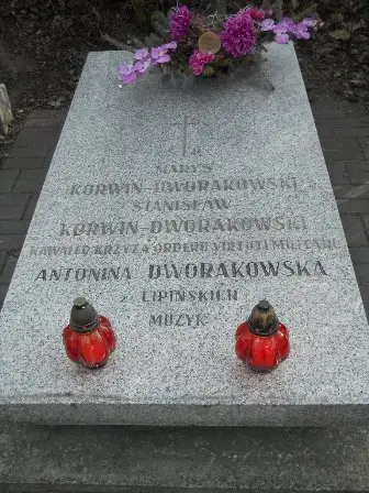 Zdjęcie grobu Krzyż./19
