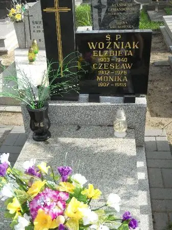 Zdjęcie grobu 9/100