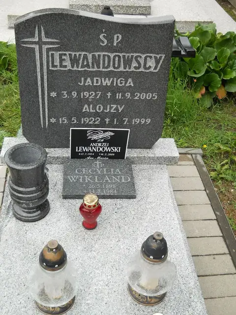 Zdjęcie grobu 24/23660
