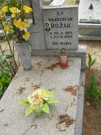 Zdjęcie grobu 38/58