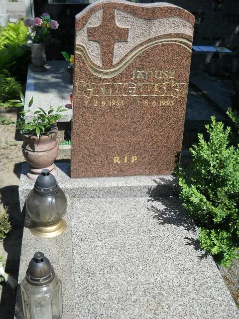Zdjęcie grobu 8A/10096