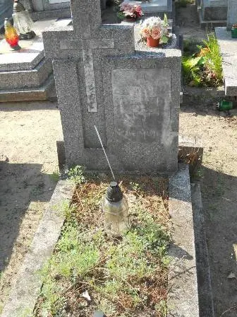 Zdjęcie grobu 14/100